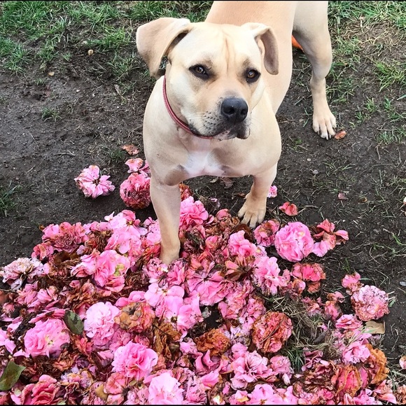 Meet your Posher, Jackie - Picture 5 of 8